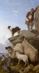 R. Ansdell, The Lost Sheep / Painting, 1868