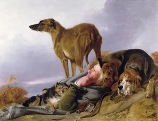 The First Watch