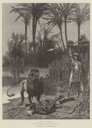 Cleopatra by H. Rider Haggard