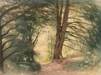 Box Hill, Surrey