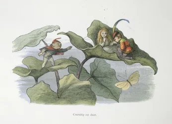 Courtship Cut Short