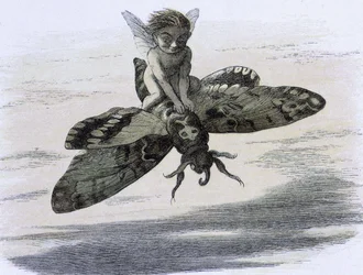 An elf riding a butterfly. Illustration by Richard Doyle from 