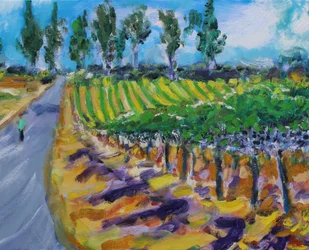 A Walk in Wine County, Napa, 2017