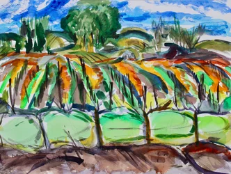 Autumn Vineyards, Napa, 2017