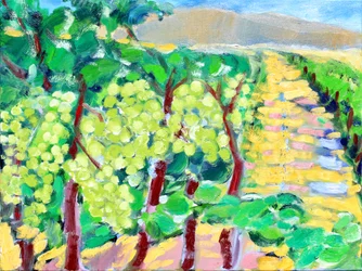 Chardonnay Grapes, Napa, 2019