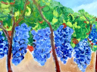 Grapes on the Vine