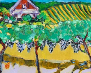 Merlot Grapes, Napa, 2017