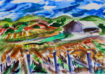 Napa in Autumn