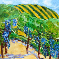 Vineyard and Rolling Hills, 2019