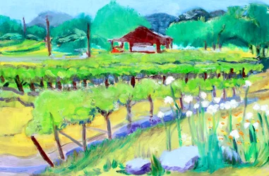 Vineyard on Zinfandel Lane, Napa, 2019