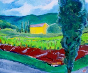 Yellow House, Sonoma, 2017