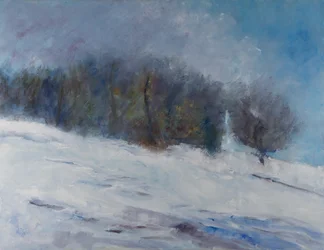 Snowy Winter Forest