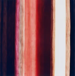 Stripe XI, 2005