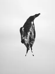 Untitled, 2009