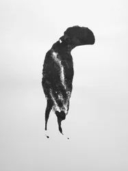 Untitled, 2009