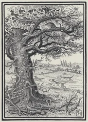 The Fox And The Cat