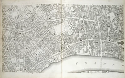 Plate from 
