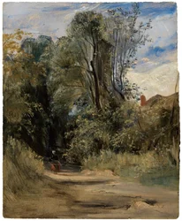 A Forest Path
