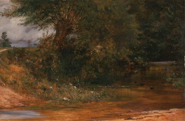 The Moorhen