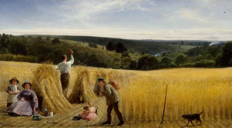 The Valleys also Stand Thick with Corn
