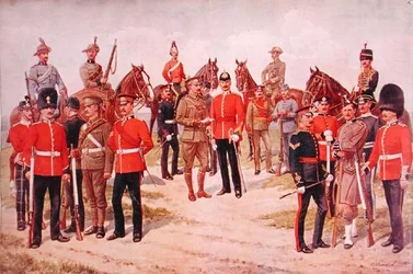 Types of the Territorial Army, from 