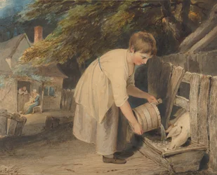 Girl Feeding Pigs