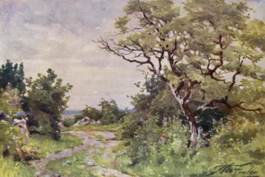 Field Path, near Llanrug
