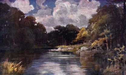The Trout Stream