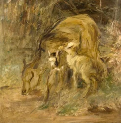Goat and Kids