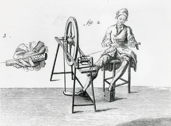 Rustic economics, cotton, from Encyclopedia by Denis Diderot