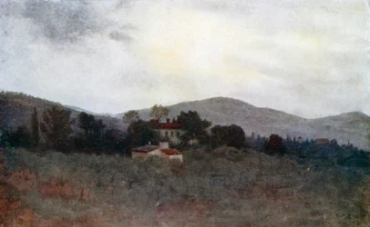 A Study of Tuscan Olive Gardens