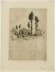Unfinished Landscape