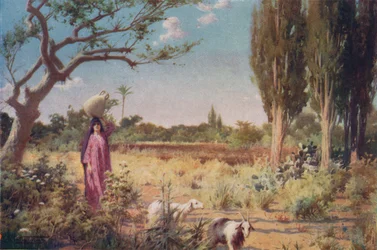 A Pastoral near Damietta