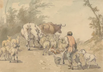 Drove of Sheep and Cows