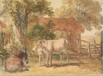 Three Donkeys