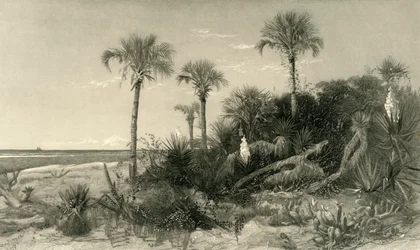 On the Coast of Florida