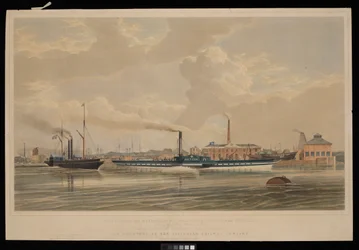 This Print of the 