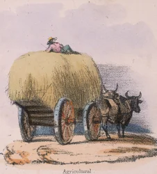 Agricultural