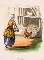 The Nest