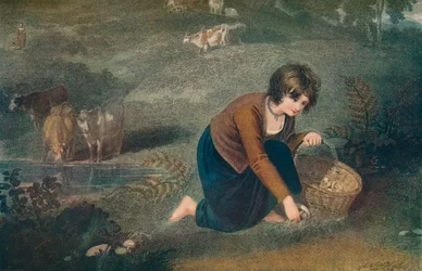 A Girl Gathering Mushrooms