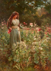 Gathering Poppies