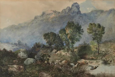 Landscape with Mallard Ducks