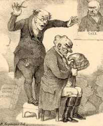 Phrenologist Amazed by Head of Patient