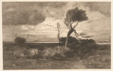 Near the Coast