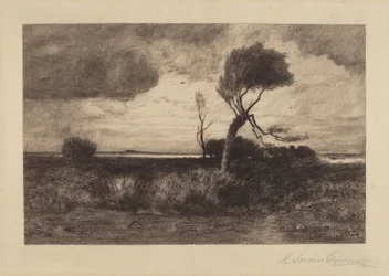 Near the Coast