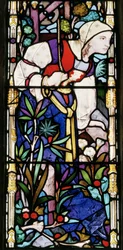 Woman of The Bible
