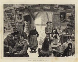 Human Hair Market in Alsace