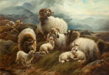 Sheep in a Landscape, 1894