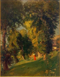 Park Landscape
