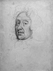 Male Portrait